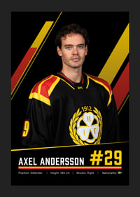 Axel Andersson #29 Brynäs IF 2026/2027-5