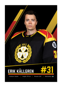 Erik Källgren #31 Brynäs IF 2026/2027-1