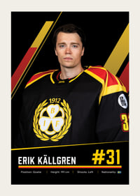 Erik Källgren #31 Brynäs IF 2026/2027-3