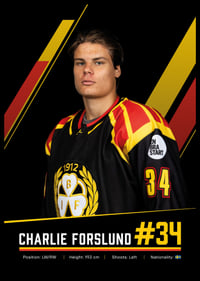 Charlie Forslund #34 Brynäs IF 2026/2027-6