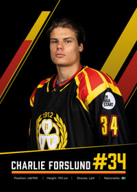 Charlie Forslund #34 Brynäs IF 2026/2027-7