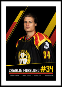 Charlie Forslund #34 Brynäs IF 2026/2027-0