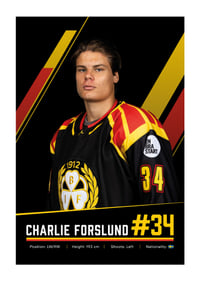 Charlie Forslund #34 Brynäs IF 2026/2027-1