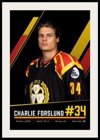 Charlie Forslund #34 Brynäs IF 2026/2027-2
