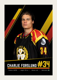 Charlie Forslund #34 Brynäs IF 2026/2027-3