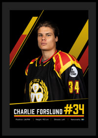 Charlie Forslund #34 Brynäs IF 2026/2027-4