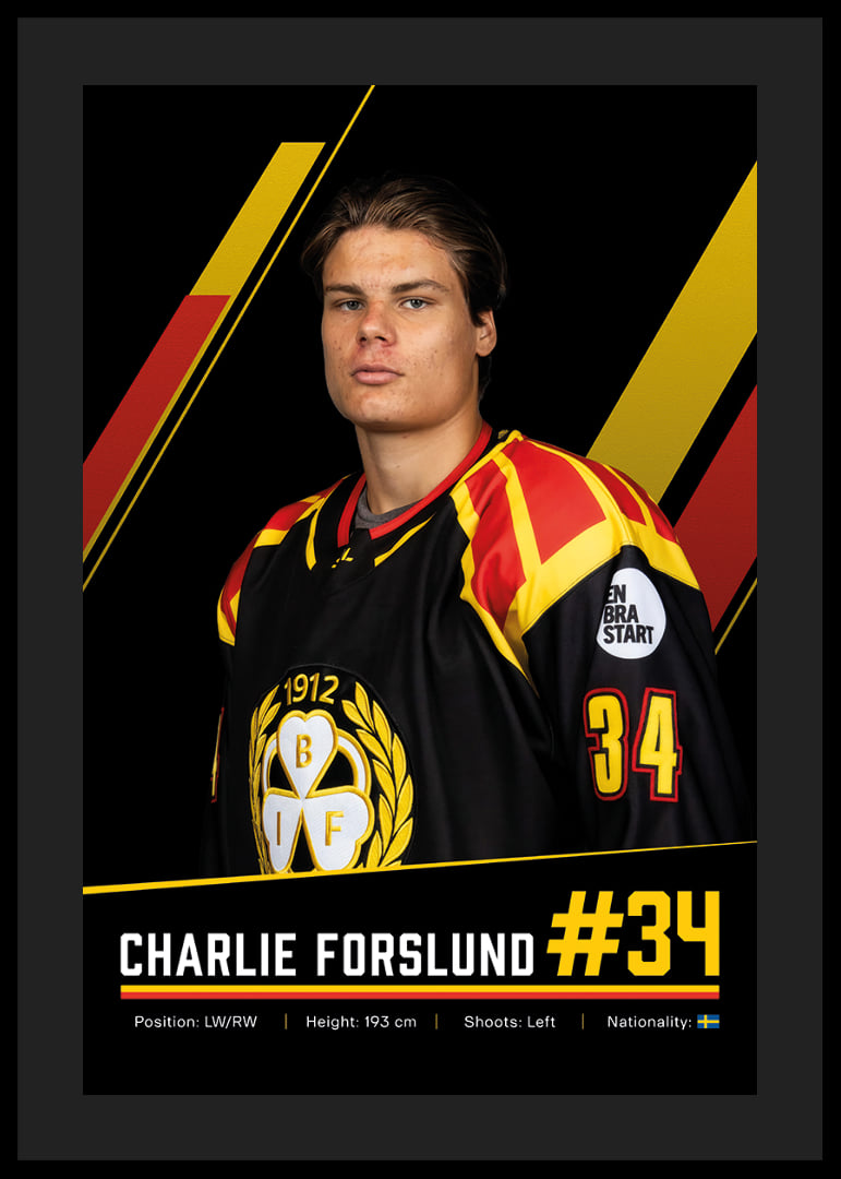 Charlie Forslund #34 Brynäs IF 2026/2027-12
