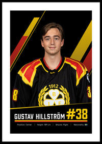 Gustav Hillström #38 Brynäs IF 2026/2027-0