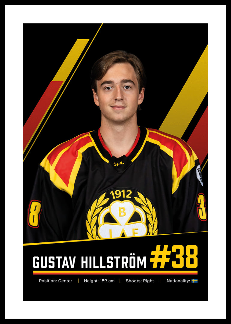 Gustav Hillström #38 Brynäs IF 2026/2027-12