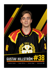 Gustav Hillström #38 Brynäs IF 2026/2027-1