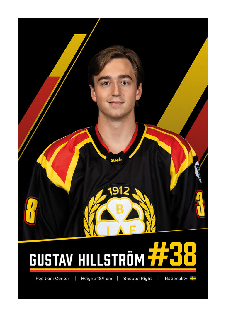 Gustav Hillström #38 Brynäs IF 2026/2027-12