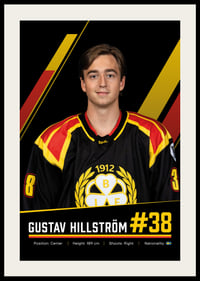 Gustav Hillström #38 Brynäs IF 2026/2027-2