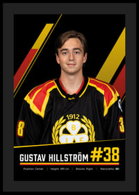 Gustav Hillström #38 Brynäs IF 2026/2027-4
