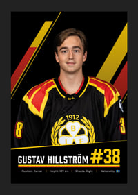 Gustav Hillström #38 Brynäs IF 2026/2027-5