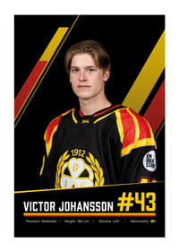 Victor Johansson #43 Brynäs IF 2026/2027-1