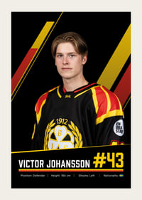 Victor Johansson #43 Brynäs IF 2026/2027-3