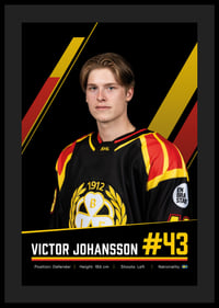 Victor Johansson #43 Brynäs IF 2026/2027-4