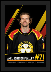 Axel Jonsson Fjällby #71 Brynäs IF 2026/2027-4
