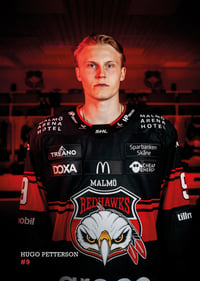 Hugo Pettersson #9 Malmö Redhawks 2026/2027-7