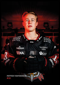 Petter Vesterheim #13 Malmö Redhawks 2026/2027-6