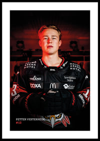 Petter Vesterheim #13 Malmö Redhawks 2026/2027-0