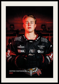 Petter Vesterheim #13 Malmö Redhawks 2026/2027-2