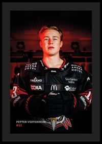 Petter Vesterheim #13 Malmö Redhawks 2026/2027-4