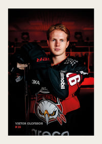 Viktor Olofsson #16 Malmö Redhawks 2026/2027-3