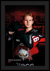 Viktor Olofsson #16 Malmö Redhawks 2026/2027-4