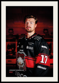 Johan Ivarsson #17 Malmö Redhawks 2026/2027-2