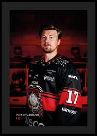 Johan Ivarsson #17 Malmö Redhawks 2026/2027-4