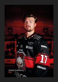 Johan Ivarsson #17 Malmö Redhawks 2026/2027-5