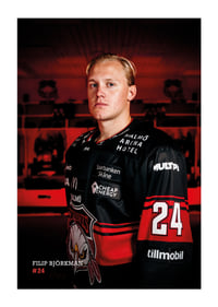Filip Björkman #24 Malmö Redhawks 2026/2027-1