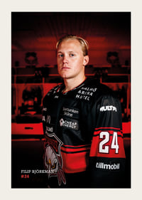 Filip Björkman #24 Malmö Redhawks 2026/2027-3