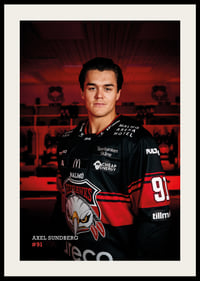 Axel Sundberg #91 Malmö Redhawks 2026/2027-2