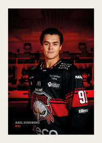 Axel Sundberg #91 Malmö Redhawks 2026/2027-3