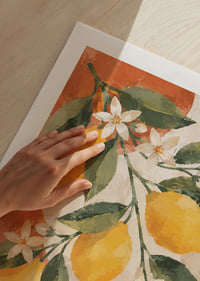 Des citrons jaune soleil et des fleurs blanches dans un tableau chaleureux d'inspiration méditerranéenne.-9