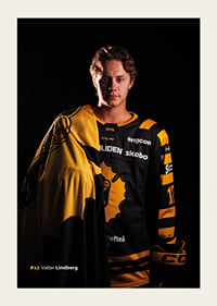 Valter Lindberg #12 Skellefteå AIK 2026/2027-3