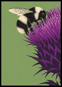 A bumblebee lands on an intensely purple thistle against a soft green background.-6