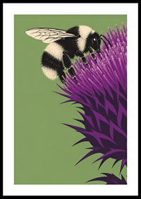 A bumblebee lands on an intensely purple thistle against a soft green background.-0