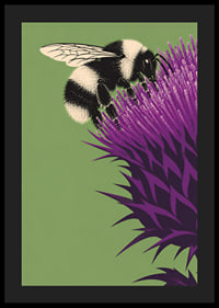 A bumblebee lands on an intensely purple thistle against a soft green background.-4