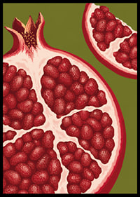 Graphic illustration of juicy pomegranates in warm red tones against olive green.-6
