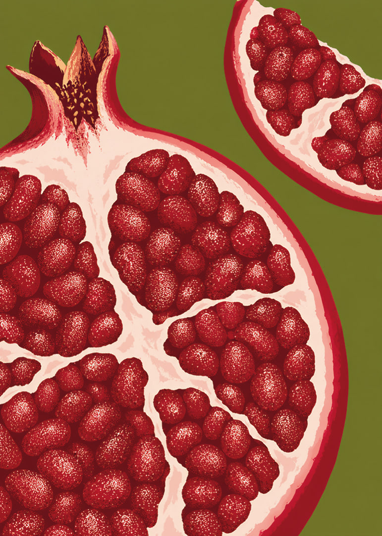 Graphic illustration of juicy pomegranates in warm red tones against olive green.-12