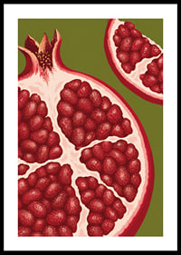 Graphic illustration of juicy pomegranates in warm red tones against olive green.-0