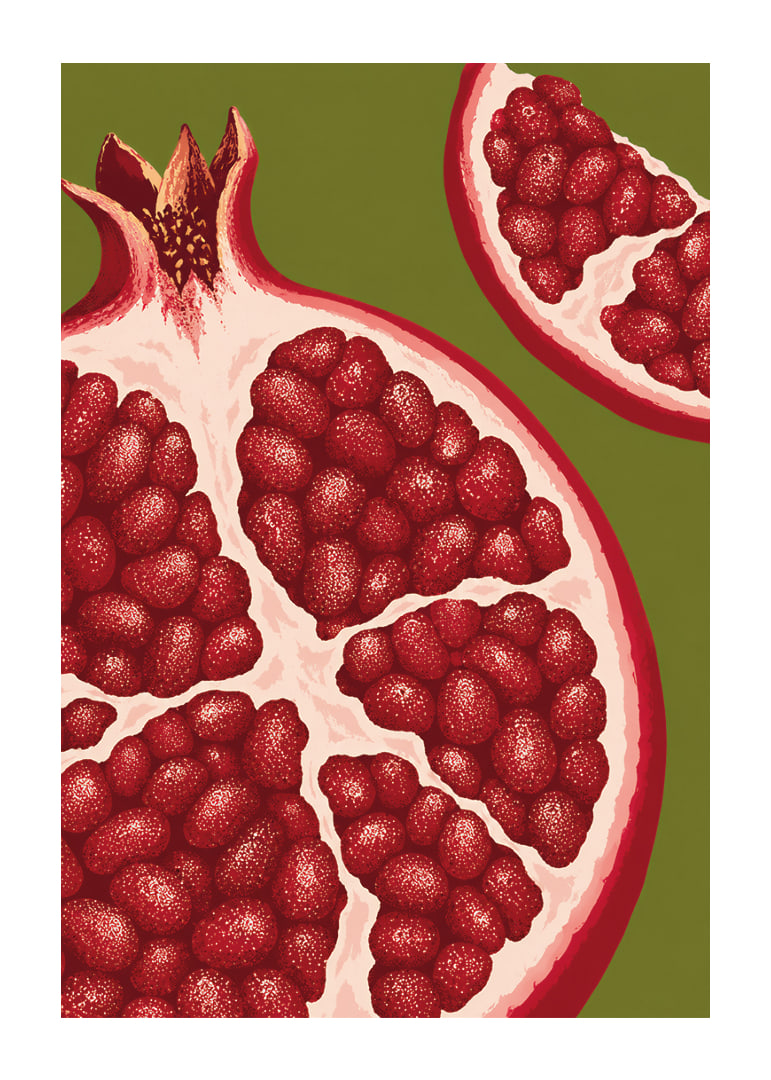 Graphic illustration of juicy pomegranates in warm red tones against olive green.-12