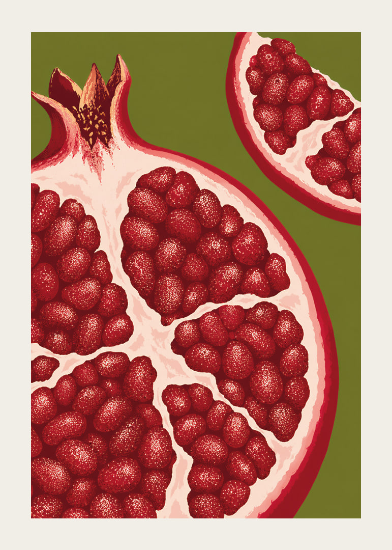 Graphic illustration of juicy pomegranates in warm red tones against olive green.-12