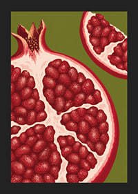 Graphic illustration of juicy pomegranates in warm red tones against olive green.-5