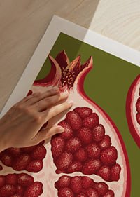 Graphic illustration of juicy pomegranates in warm red tones against olive green.-9