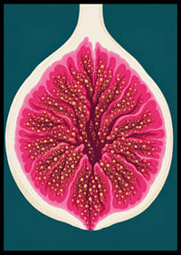 Stylized fig in intense pink tones against a deep teal background.-6