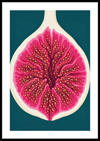 Stylized fig in intense pink tones against a deep teal background.-0